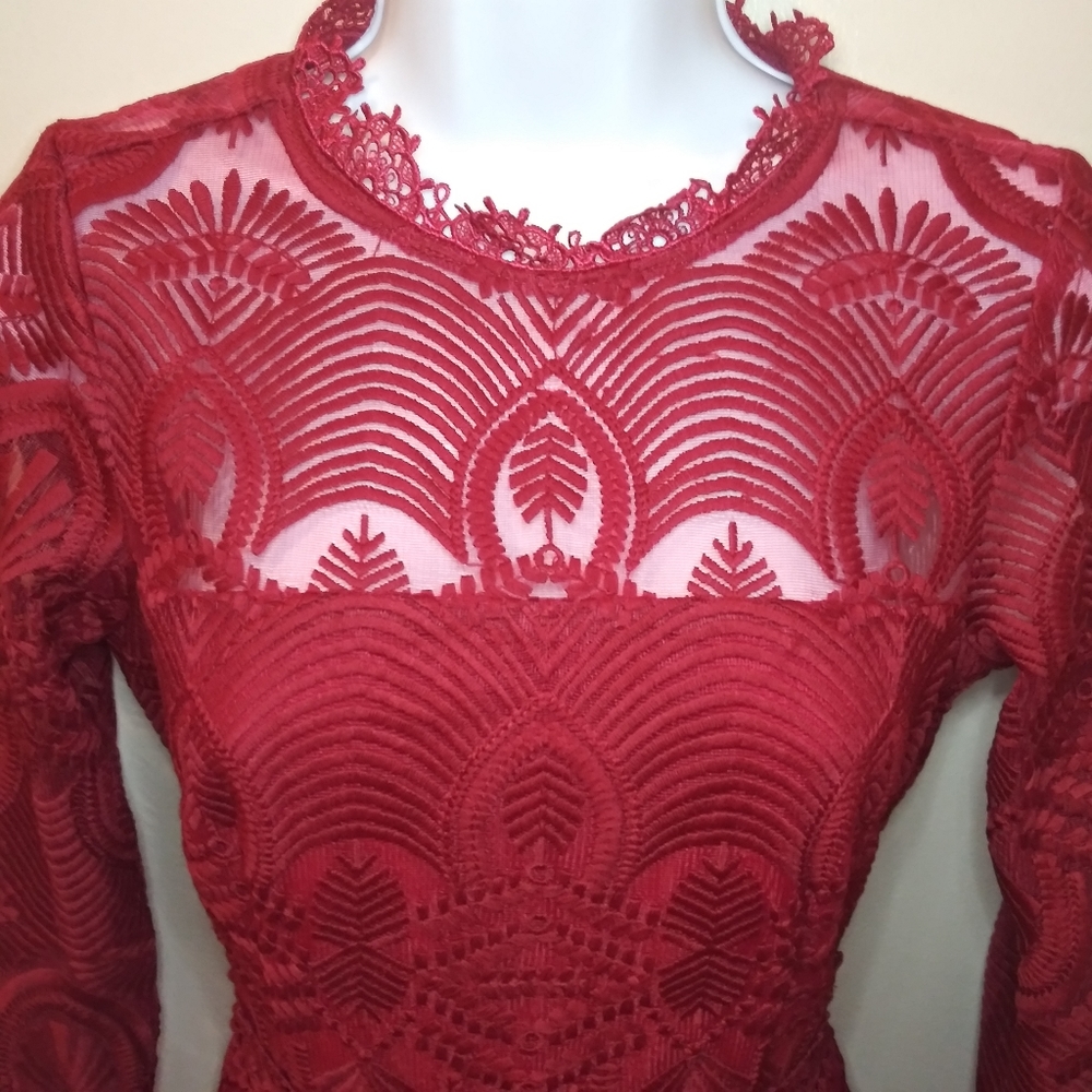 Xenia Boutique Sexy Burgundy Embroidered Net Ruffled Hem Mini Dress - Picture 5 of 16